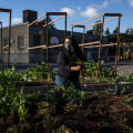 Exploring Local Farmers Markets for Gardening Supplies in King County, Washington