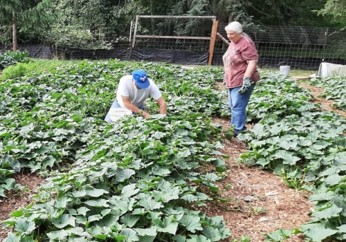 King County Washington Gardening and the Benefits of Reliable Waste Solutions